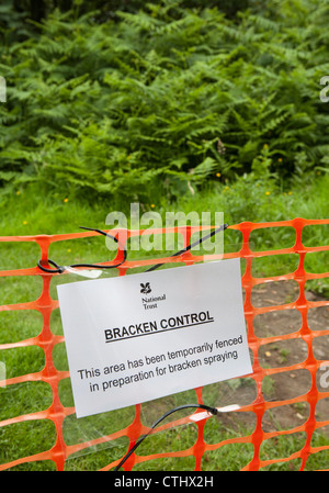 Brimham rocks Summerbridge, Harrogate, North Yorkshire Regno Unito Foto Stock