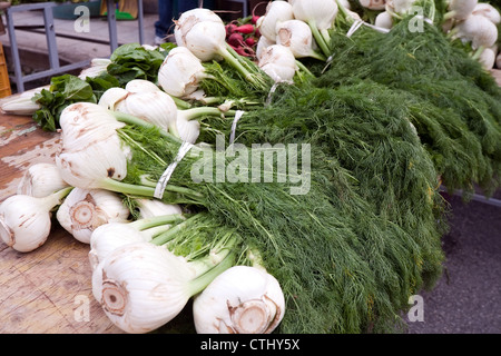 Vista dettagliata del finocchio fresco al mercato verde Foto Stock