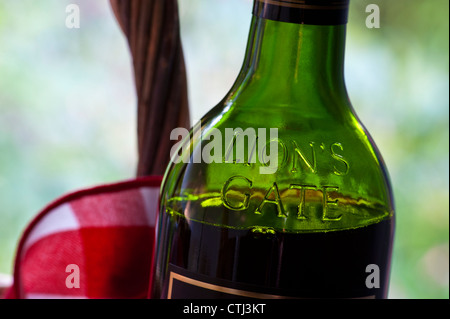 Porta del Leone Cabernet Sauvignon Shiraz rosso vino Sudafricano nel cesto di vimini con picnic tipico igienico e un giardino estivo Foto Stock