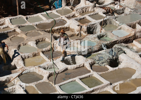 Lavoratore della millenaria del cuoio conceria antica medina di Fes, Marocco Foto Stock