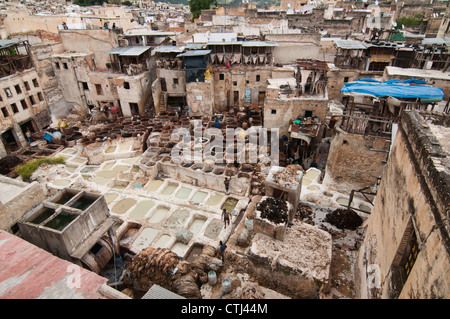 La millenaria del cuoio concerie nell'antica medina di Fes, Marocco Foto Stock