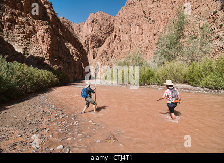 Trekking attraverso il M'Goun Gorges del sud montagne Atlas, Marocco Foto Stock