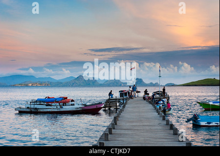 Il dock che porta al villaggio di Komodo nel Parco Nazionale di Komodo, Indonesia. Foto Stock