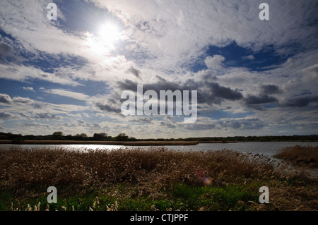 Laghi e canneti a Stodmarsh Riserva Naturale Nazionale, vicino a Canterbury Kent. Aprile. Foto Stock