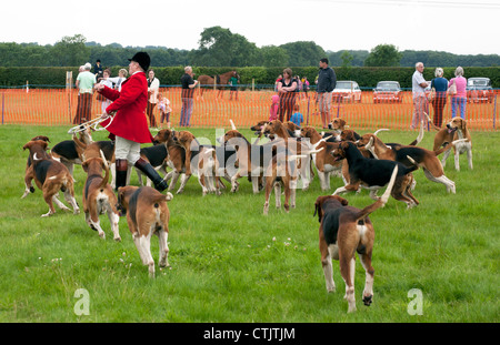 Borrowby spettacolo agricolo, Northallerton, North Yorkshire, Regno Unito Foto Stock