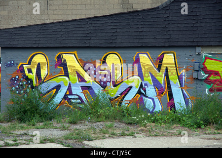 Graffiti su edificio vacante Detroit Michigan STATI UNITI Foto Stock