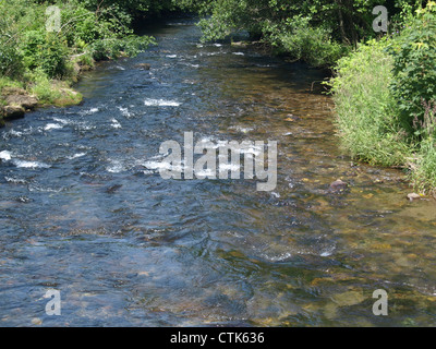 Fiume 'White Rain' Foresta Bavarese Germania / Fluss " Weisser Regen' Bayerischer Wald Deutschland Foto Stock