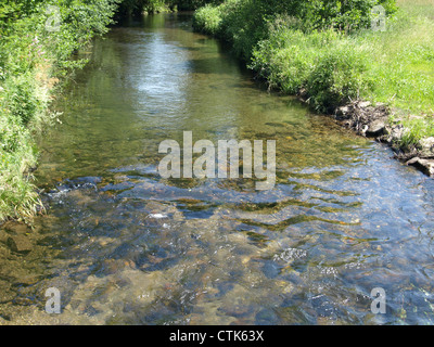 Fiume 'White Rain' Foresta Bavarese Germania / Fluss " Weisser Regen' Bayerischer Wald Deutschland Foto Stock