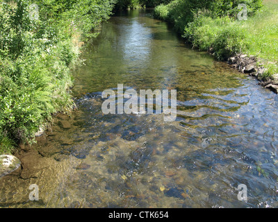 Fiume 'White Rain' Foresta Bavarese Germania / Fluss " Weisser Regen' Bayerischer Wald Deutschland Foto Stock