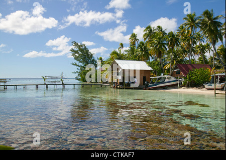 Laguna di Fakarava atoll, Tuamotus Foto Stock