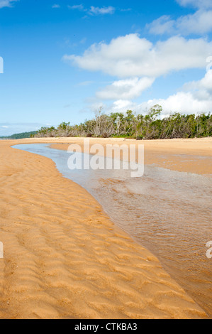 Bassa marea a un torrente che separa Wongaling Beach da South Mission Beach a Mission Beach, Casuario Coast Foto Stock