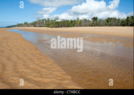 Bassa marea a un torrente che separa Wongaling Beach da South Mission Beach a Mission Beach, Casuario Coast Foto Stock