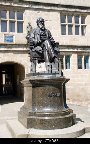 Charles Darwin statua Shrewsbury Shropshire England Regno Unito Foto Stock