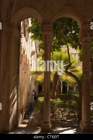 Le palme in un cortile interno a Dubrovnik Croazia Foto Stock