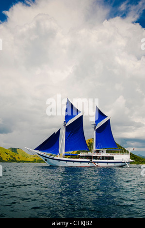 Un 108 piedi in legno tradizionali Phinisi schooner, 'l'Ombak Putih', qui a vela nel Parco Nazionale di Komodo in Indonesia orientale. Foto Stock