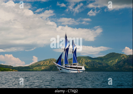 Un 108 piedi in legno tradizionali Phinisi schooner, 'l'Ombak Putih', qui a vela nel Parco Nazionale di Komodo in Indonesia orientale. Foto Stock