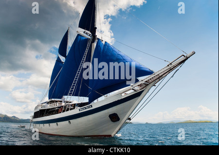 Un 108 piedi in legno tradizionali Phinisi schooner, 'l'Ombak Putih', qui a vela nel Parco Nazionale di Komodo in Indonesia orientale. Foto Stock