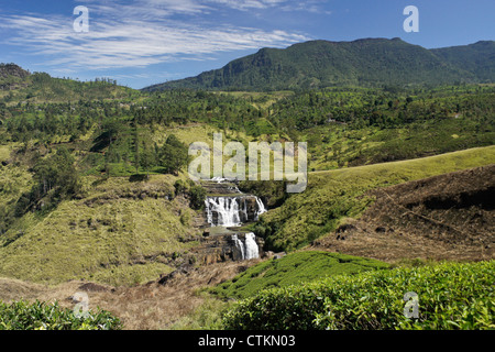 St Clair Falls, Hill Country, Sri Lanka Foto Stock