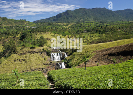 St Clair Falls, Hill Country, Sri Lanka Foto Stock