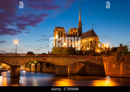 Twilight sulla Cattedrale di Notre Dame e il Fiume Senna, Parigi Francia Foto Stock