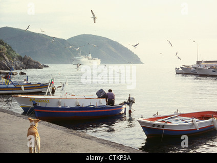 Porto di Lipari in mattinata, le Isole Eolie, in Sicilia, Italia Foto Stock