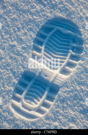 Primo piano di una stampa isolata su una superficie innevata Foto Stock