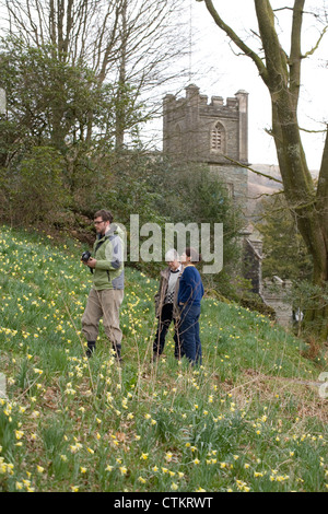 Giunchiglie (Narcissus pseudonarcissus)."un host di daffodils dorato". William Wordsworth. La Chiesa di Santa Maria Dora campo Rydal Foto Stock