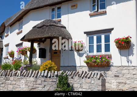 Case moderne in un tradizionale stile di paglia, Tolpuddle, Dorset Foto Stock