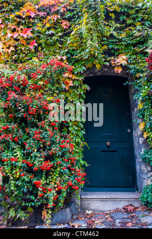 Parigi, Francia, Foliage d'autunno, viti, Green Wall Vertical Garden in Street nel quartiere di Montmartre, giardino urbano, ambiente parigi porta fiori Foto Stock