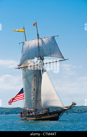 Pride of Baltimore II partecipa nel 2012 Tall Ships festival di Halifax, Nova Scotia. Foto Stock