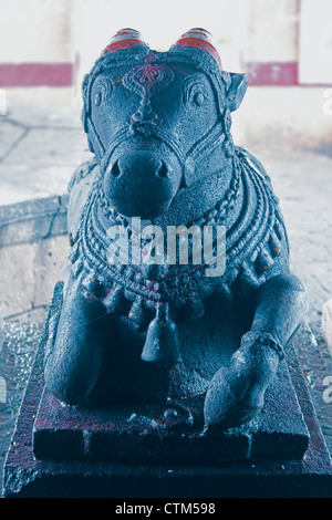 Nandi a Shri Koteshwar tempio situato tra il villaggio e arto Gove nel centro del fiume Krishna, Satara, Maharashtra, India Foto Stock