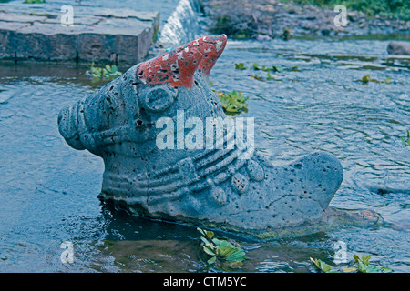 Nandi in acqua a Shri Koteshwar tempio situato tra il villaggio e arto Gove nel centro del fiume Krishna, Satara, Maharashtra, Foto Stock