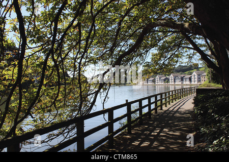 Riverside Walk a Truro Cornwall Foto Stock