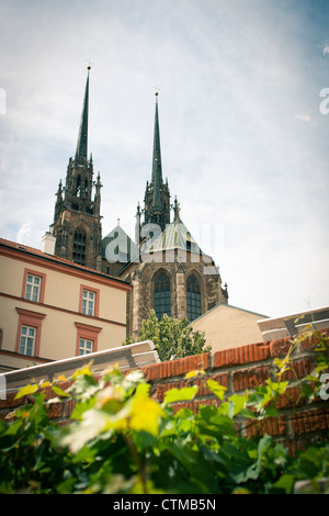 Petrov, la Cattedrale di San Pietro e Paolo a Brno, Repubblica Ceca Foto Stock