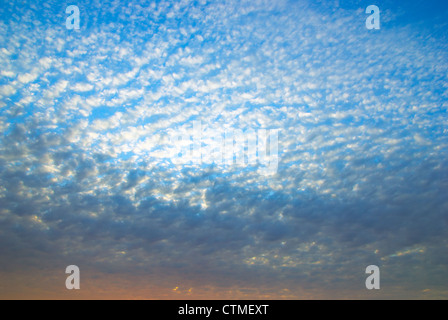 Sullo sfondo del cielo. Composizione della natura nel corso di mare Foto Stock