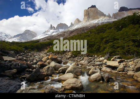 Vista dall'interno della Francesca Valle del Cuernos del Paine, Parco Nazionale Torres del Paine, Patagonia, Cile Foto Stock