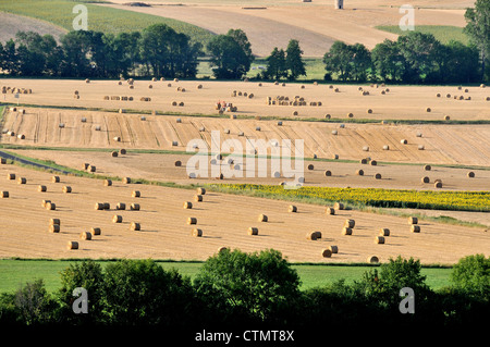 Campagna Puy de Dome massiccio Auvergne Francia centrale Foto Stock