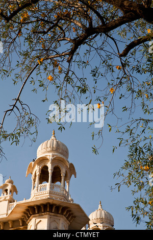 Torre di Jaswant Thada, Jodhpur, Rajasthan, India Foto Stock