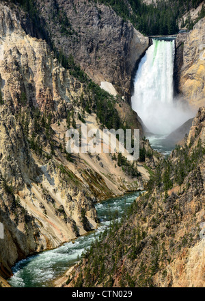 Le cascate Inferiori di Yellowstone River dal punto di artisti, il Grand Canyon di Yellowstone, il Parco Nazionale di Yellowstone, Wyoming USA Foto Stock