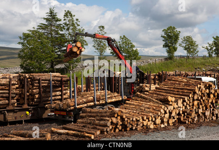 Colas Rail e Kronospan facility  legno treno a Ribblehead schierata  Stazione vicino Ingleton, North Yorkshire Dales, REGNO UNITO Foto Stock