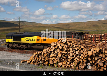 Cole il trasporto ferroviario a Kronospan facility  legno treno a Ribblehead schierata  Stazione vicino Ingleton, North Yorkshire Dales, REGNO UNITO Foto Stock