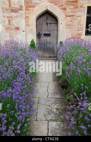 La porta anteriore del vicario vicino, Wells Regno Unito Foto Stock