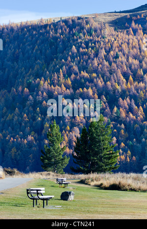 I colori autunnali, Lago Tekapo Nuova Zelanda 4 Foto Stock