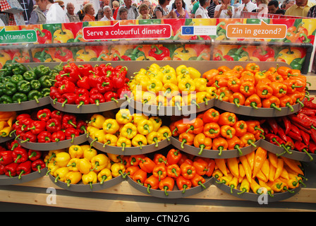 Visualizzare Casa di gusto a Floriade 2012, world horticultural expo Venlo Paesi Bassi Foto Stock
