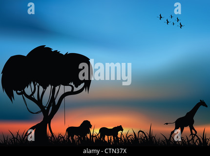 Savana Africana dove un leone e leonessa sono a caccia di una giraffa al tramonto Foto Stock