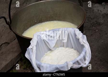 Produzione di formaggio, Valle della Meris, Piemonte, Italia Foto Stock