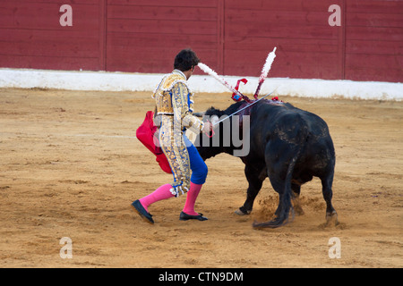 Torero spagnolo Cayetano Rivera Ordonez. 21 luglio 2012, La Linea de la Concepcion, Spagna. Foto Stock