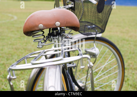 Un'immagine ravvicinata della bicicletta portapacchi posteriore o portapacchi. Foto Stock