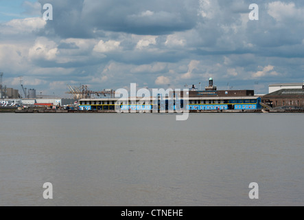 London International Terminal delle Crociere sul fiume Tamigi Tilbury Essex REGNO UNITO Foto Stock