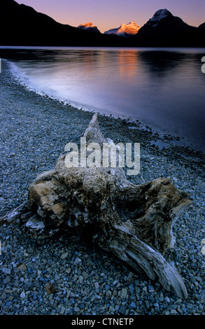 Sulle rive del lago di prua, un albero morto il moncone indica la strada per il solo montagne sullo sfondo che sono illuminati dal tramonto Foto Stock